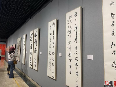 致敬“深圳精神” 孙宪华书法作品展深圳美术馆揭幕