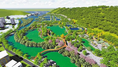 大鹏将建东涌红树林湿地公园
