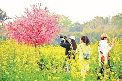 春到，人比黄花俏