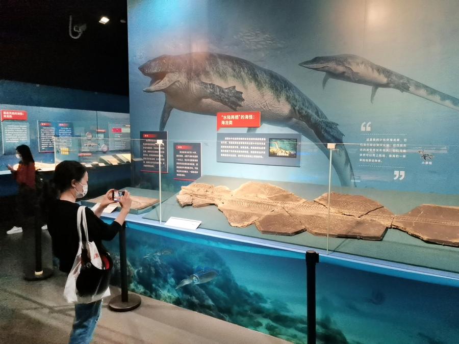 深圳博物馆举行“向海之旅——重返海洋的爬行动物”大展