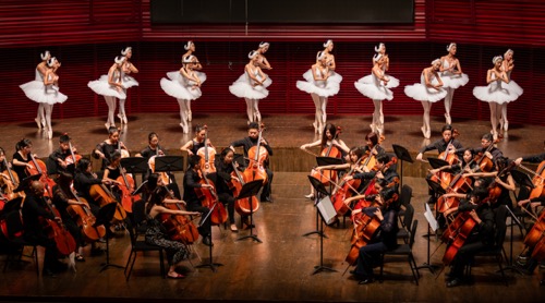 深圳音乐厅新一年度公益演出开启
