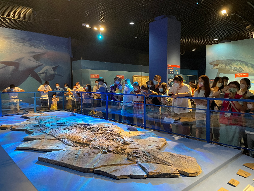 观众参观展出的关岭鱼龙化石标本