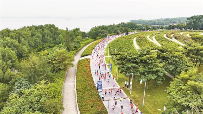 在山海连城间跑出“速度深圳”