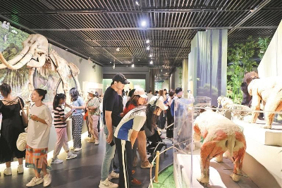“国际博物馆日”深圳博物馆三大展览同时开启