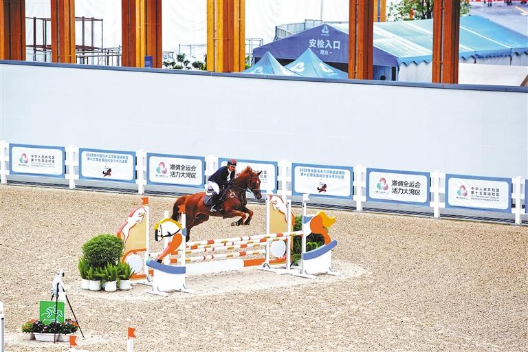 十五运会马术比赛今日在光明开赛