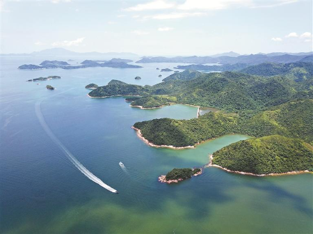 大鹏湾全域获评国家“美丽海湾”