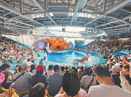 深圳春节假期接待游客超千万