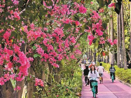 “踏青赏花”搜索热度同比增178%