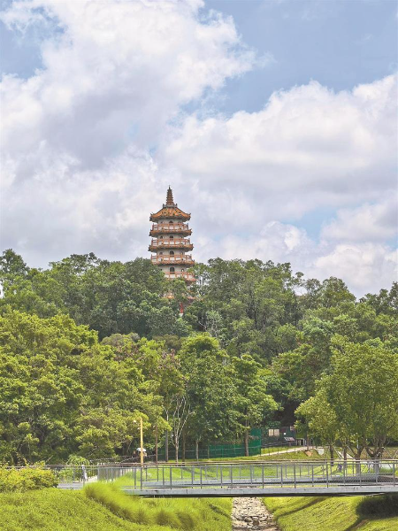 西丽塔变身热门打卡点