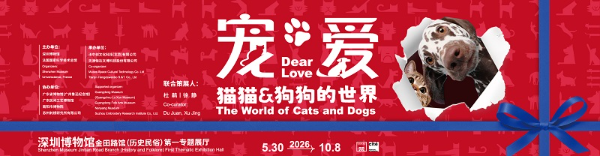 宠・爱 —— 猫猫狗狗的世界 宠・爱 —— 猫猫狗狗的世界