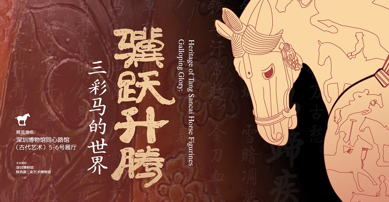 骥跃升腾——三彩马的世界